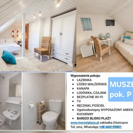 Muszelka * Dźwirzyno