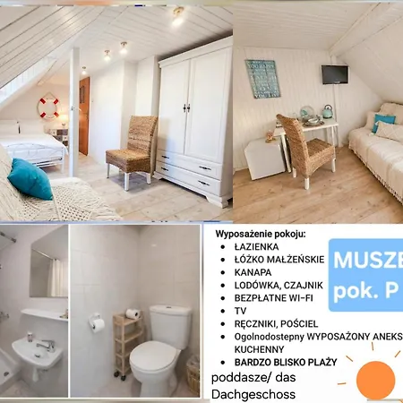 Muszelka *
